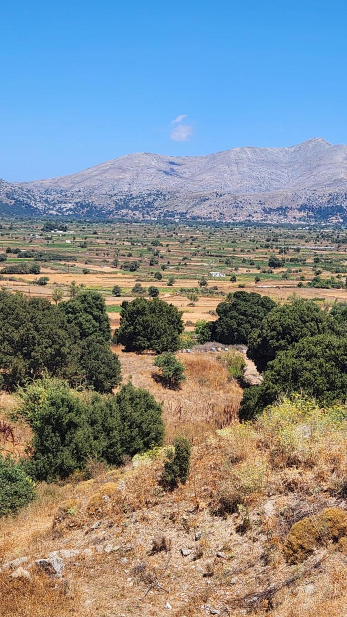 Dionysus Lasithi Plateau Magoulás Екстериор снимка
